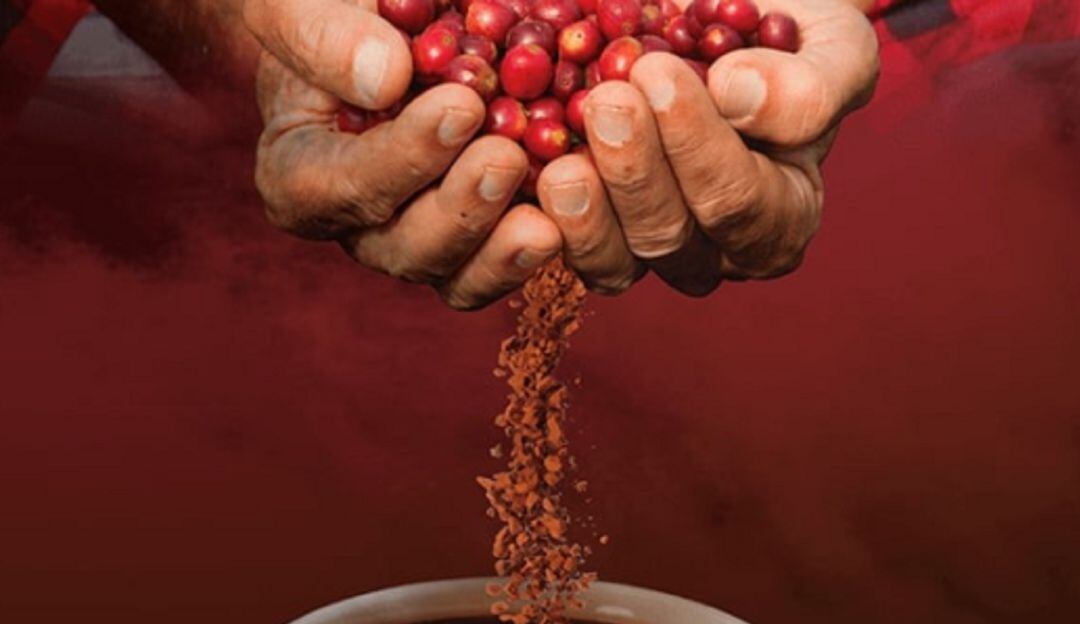 Imagen de la página web