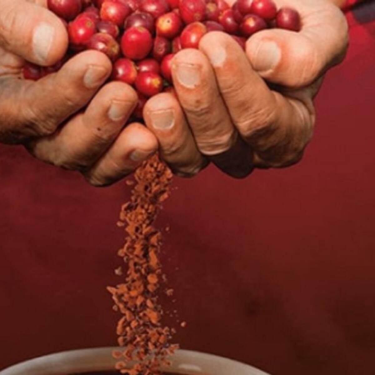 En Filipinas se consume café colombiano con tecnología Sensoria by Buencafé