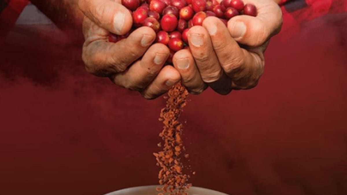 En Filipinas se consume café colombiano con tecnología Sensoria by Buencafé