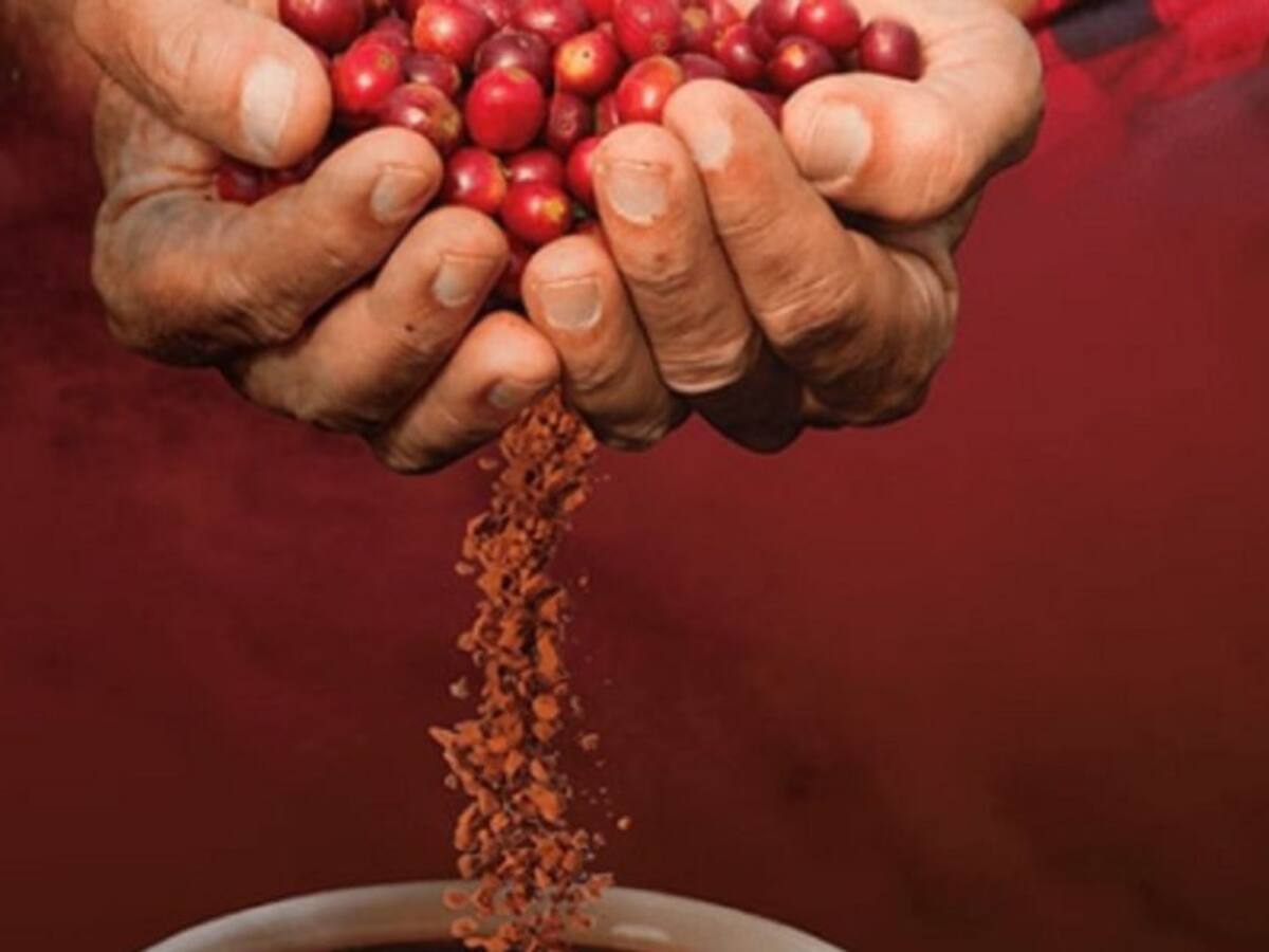 En Filipinas se consume café colombiano con tecnología Sensoria by Buencafé