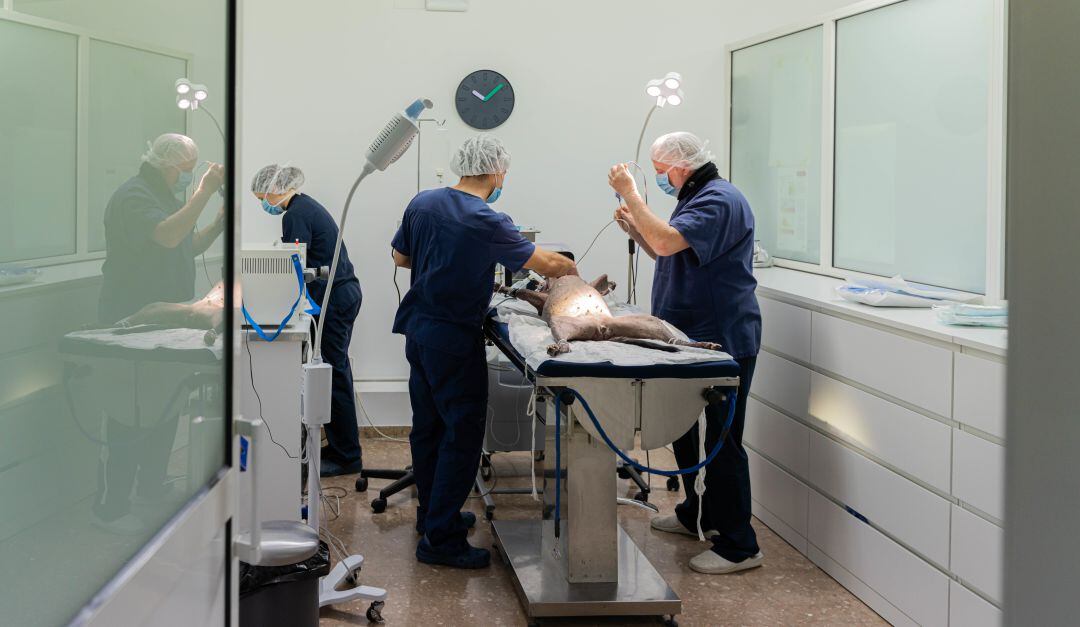 MinSalud busca modernizar el Instituto Nacional de Cancerología