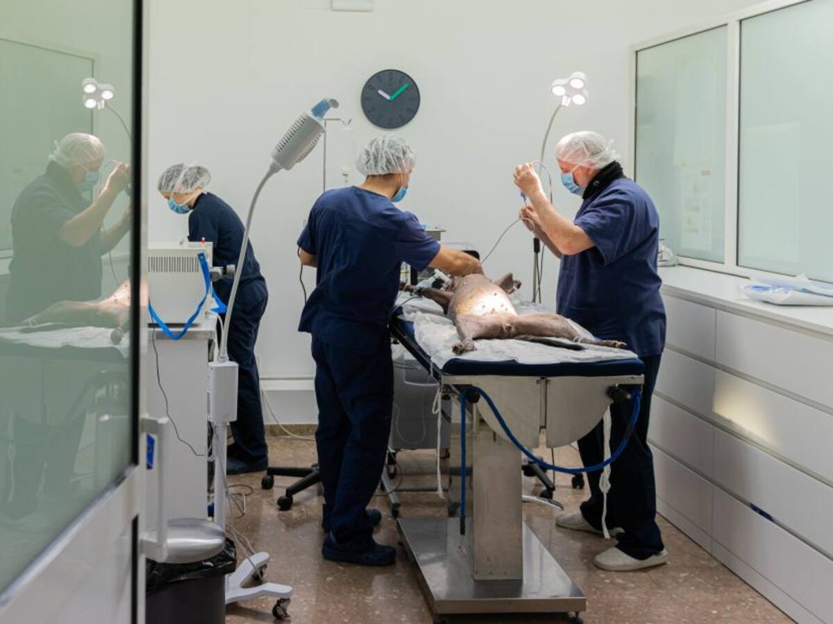 Modernizar el Instituto Nacional de Cancerología costaría 95.000 millones