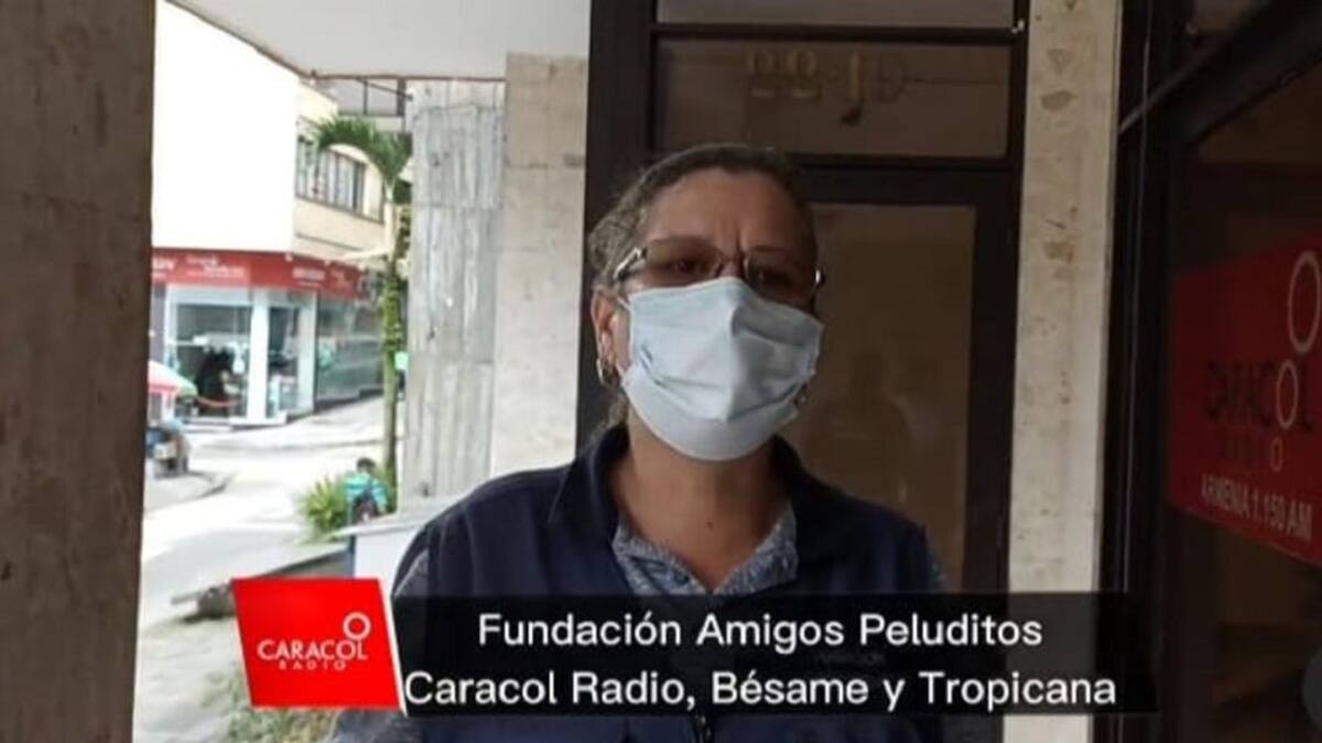 Denuncia agresión animalista Armenia