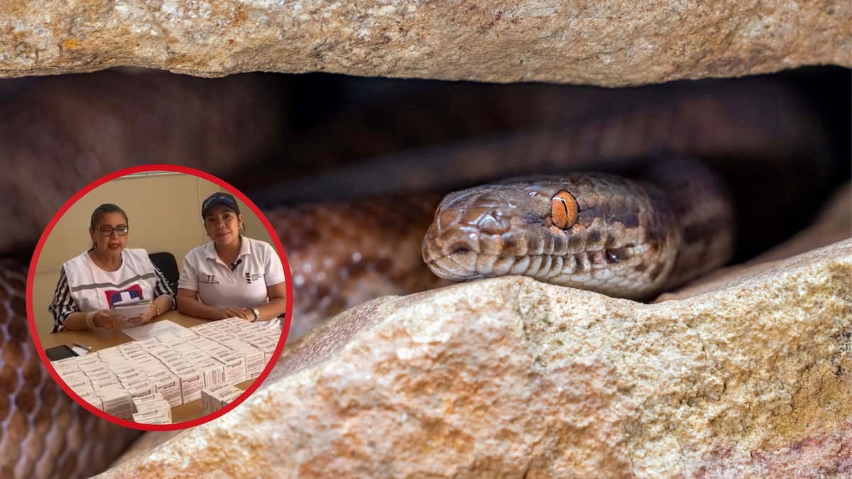 INS refuerza atención sanitaria en Córdoba con antivenenos ante riesgo por inundaciones