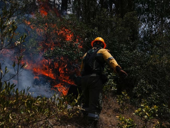SOPO, COLOMBIA - 30 DE ENERO: Miembros de los equipos de extinción de incendios y la comunidad trabajan diligentemente para extinguir las llamas en el municipio de Sopo, Cundinamarca, Colombia el 30 de enero de 2024. (Foto de Juancho Torres/Anadolu vía Getty Images)