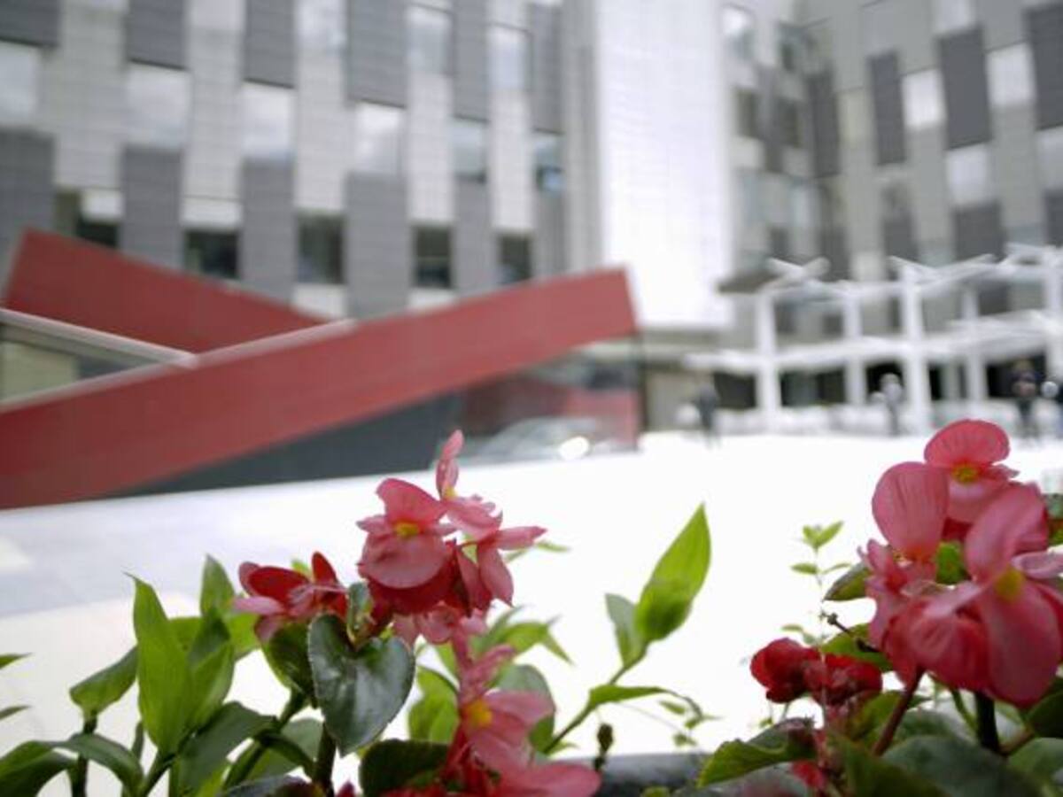 Usaquén tendrá una plaza de mercado gourmet