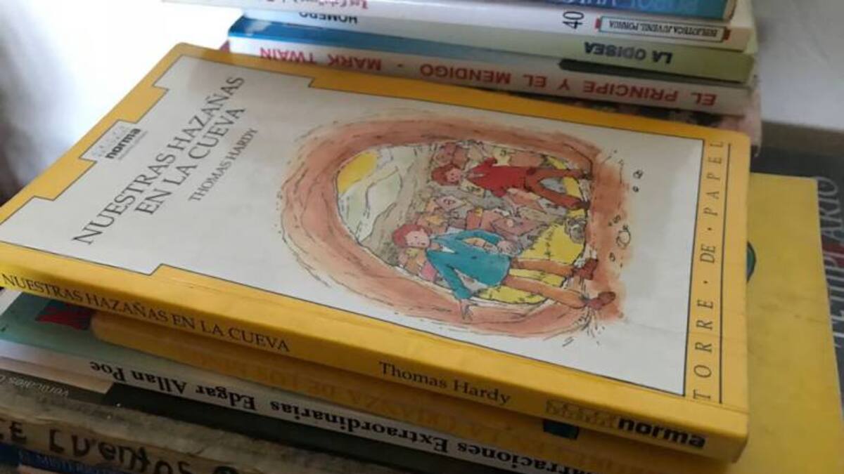 Conozca la biblioteca para niños campesinos en Boyacá