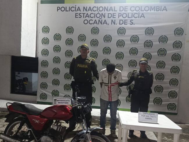 Capturan a hombre que ocasionó la muerte a un canino en Ocaña. Foto: DENOR.