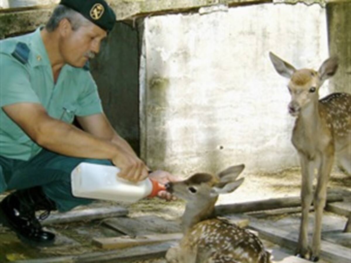 Países latinoamericanos asumen rol más activo en la protección de especies