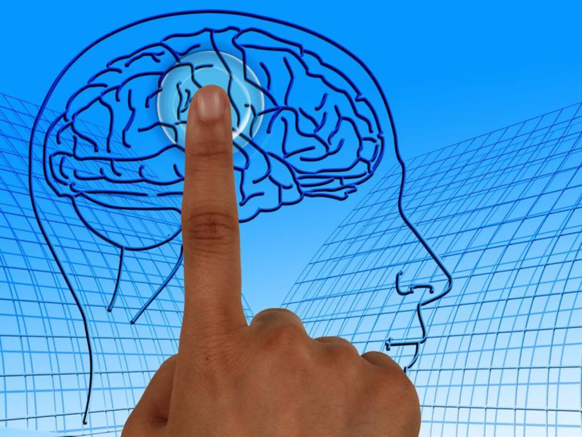 ¿Cuál es la relación entre el cerebro y la corrupción?