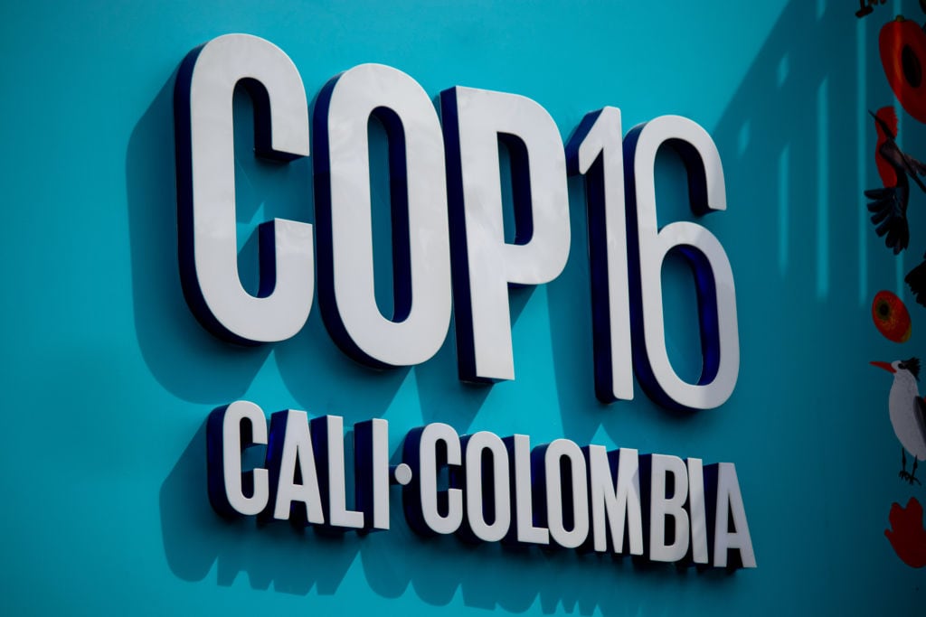 COP16. I Foto: Sebastian Marmolejo/Long Visual Press/Universal Images Group via Getty Images.