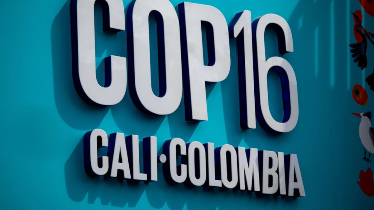 Los conflictos socioambientales de Boyacá serán presentados en la COP16