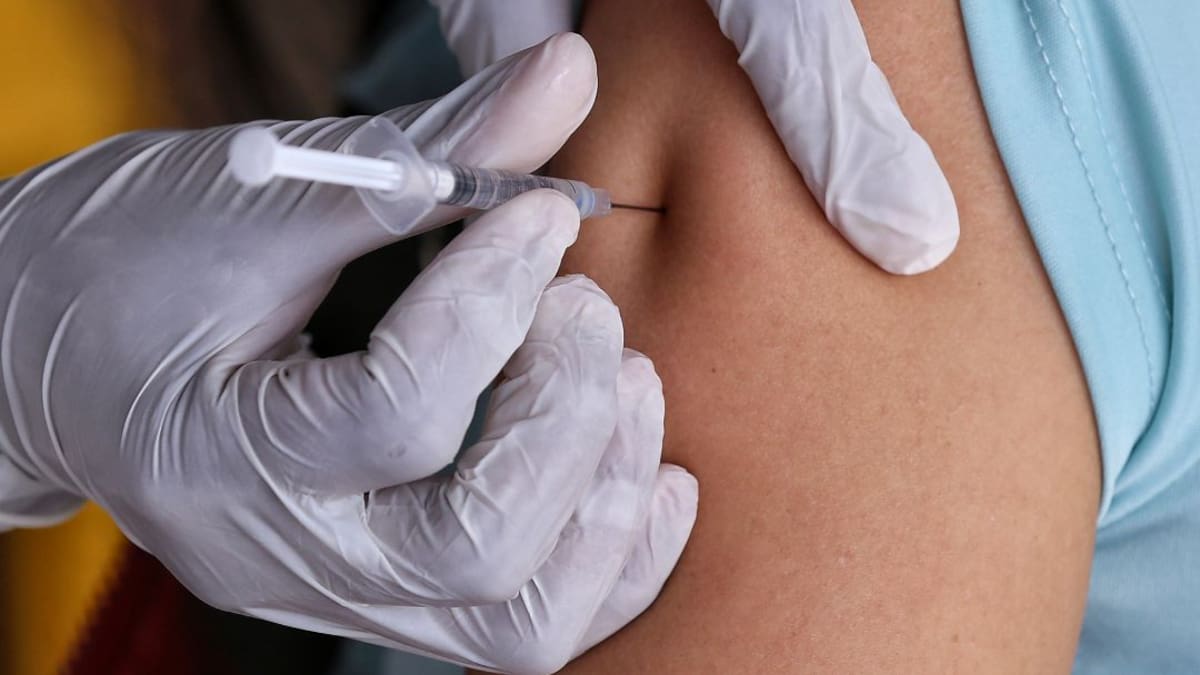 Alerta por fiebre amarilla en Colombia: Córdoba refuerza vacunación y medidas preventivas
