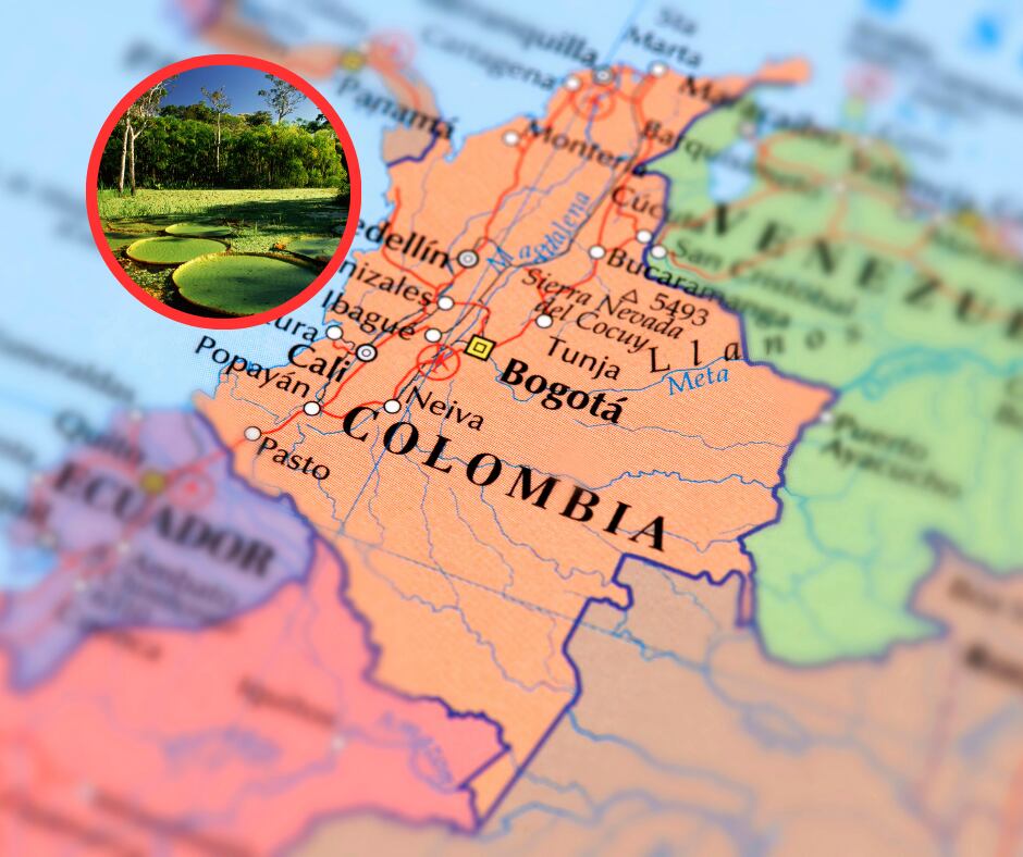 Close-up mapa de Colombia y selva amazónica (Getty Images)