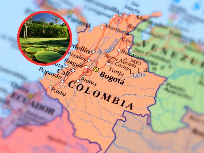 Close-up mapa de Colombia y selva amazónica (Getty Images)