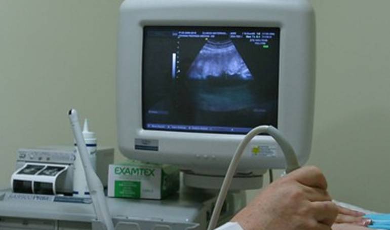 Imagen de referencia 