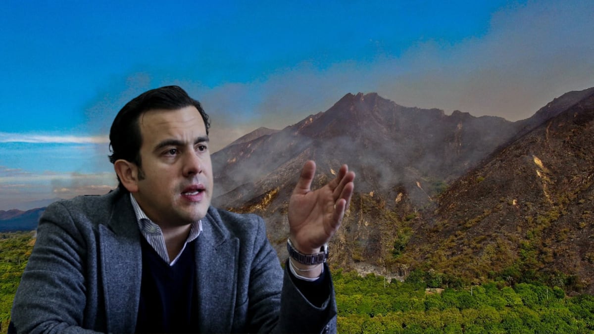 MinInterior Rodrigo Lara habló sobre responsables de incendios en Tolima. Foto: Colprensa.