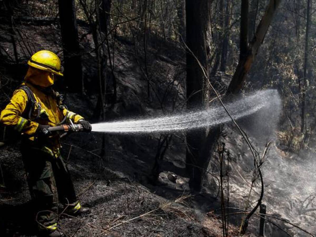 Los organismos de socorro trabajan para controlar incendio forestal en Carmen de Apicalá