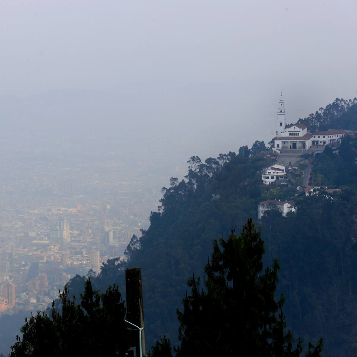 Desaparición de extranjero en cerros orientales de Bogotá: se adelanta amplio operativo de búsqueda