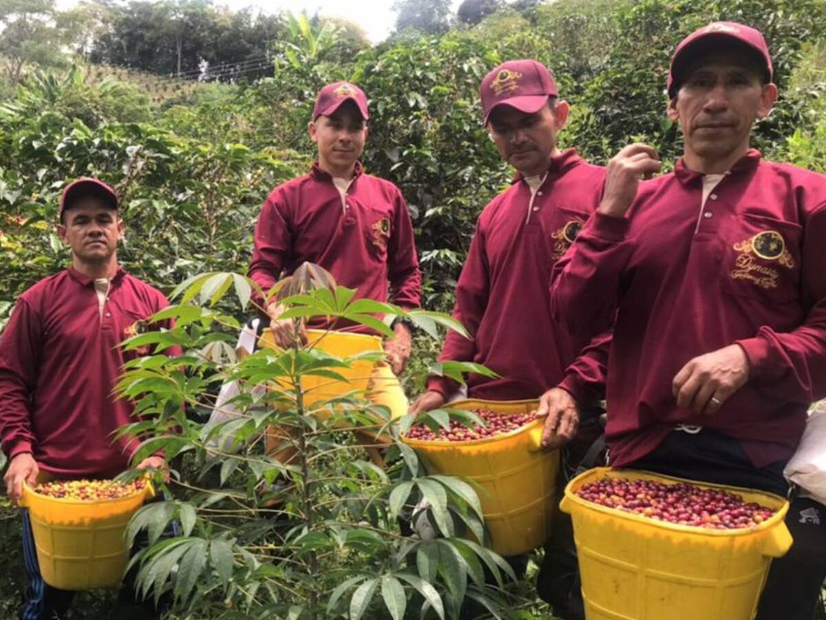 El café sostuvo la economía del corregimiento de Bilbao en pandemia