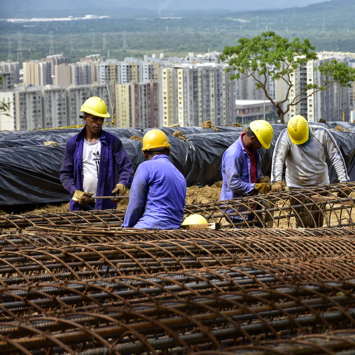 Hay avances en la obra del Bosque Urbano de Miramar en Barranquilla