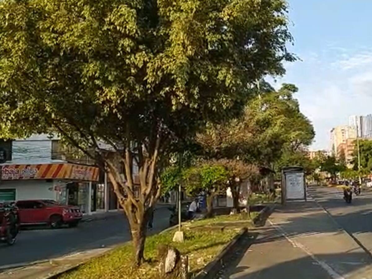 En 2 minutos se llevaron más de $20 millones en mercancía en almacén de Ibagué