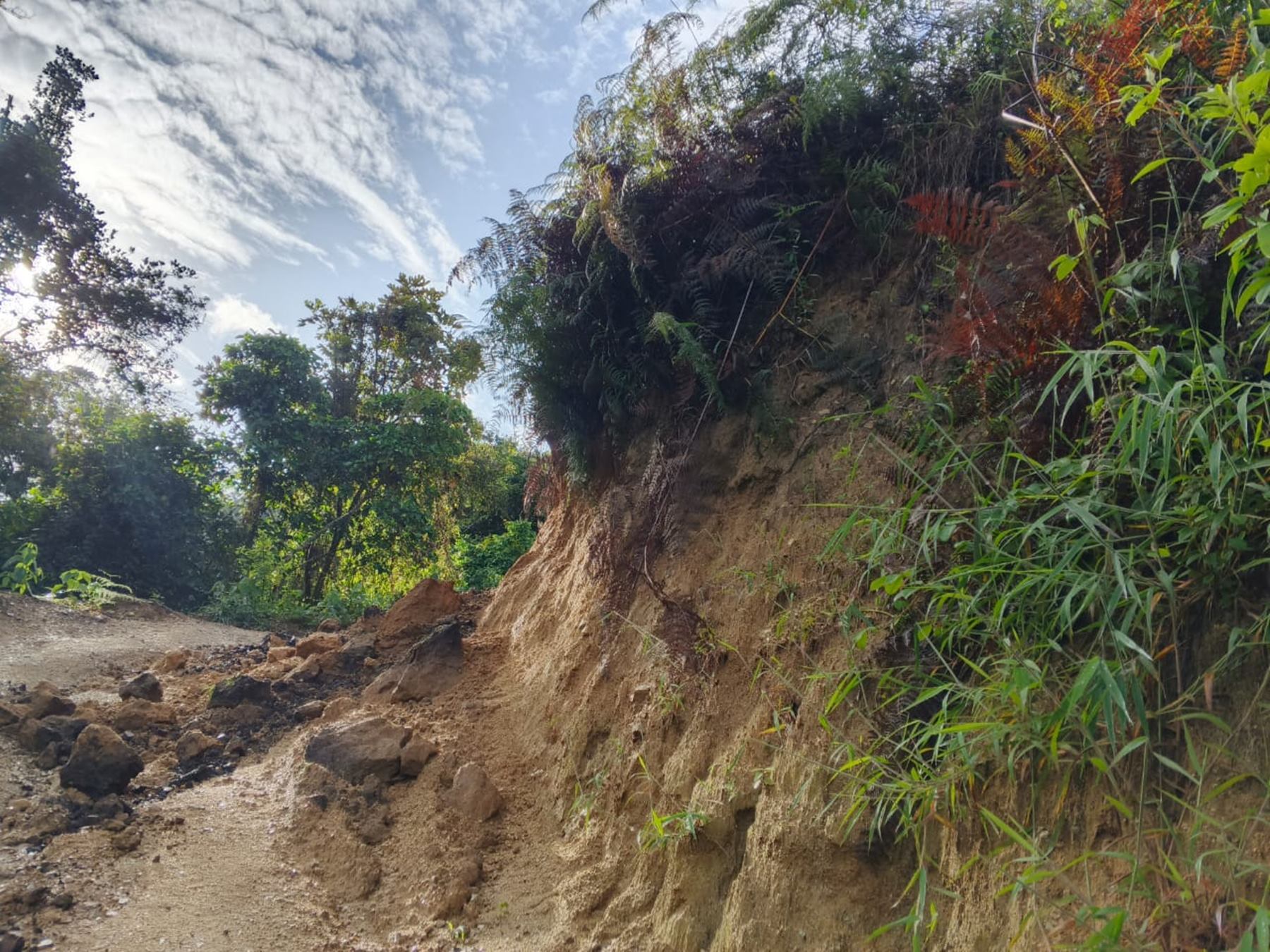 Vías rurales de Ibagué