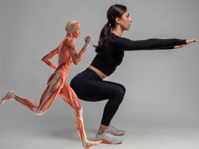 Mujer realizando una sentadilla // músculos humanos
