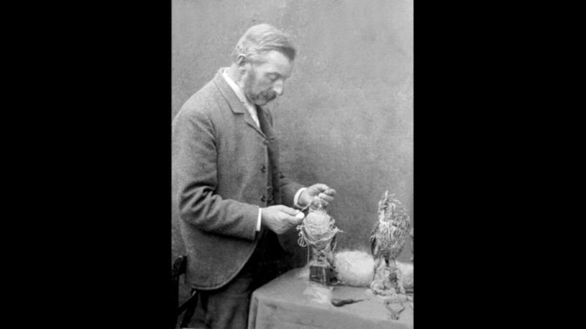 El inglés, nacido en Sussex, en el sureste de Inglaterra, fue un autodidacta que aprendió a preservar pájaros y animales siendo niño. Al salir de la escuela comenzó a trabajar en su colección.