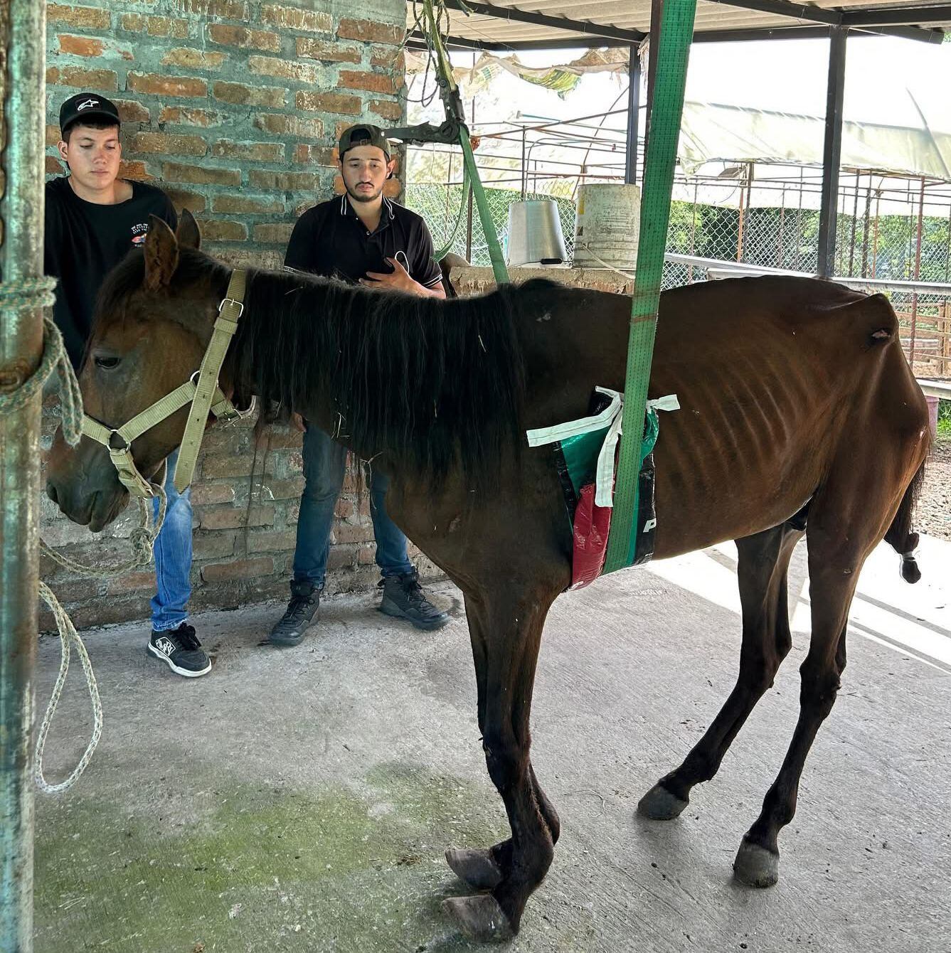 Fotografía cortesía: Jhony Rivera