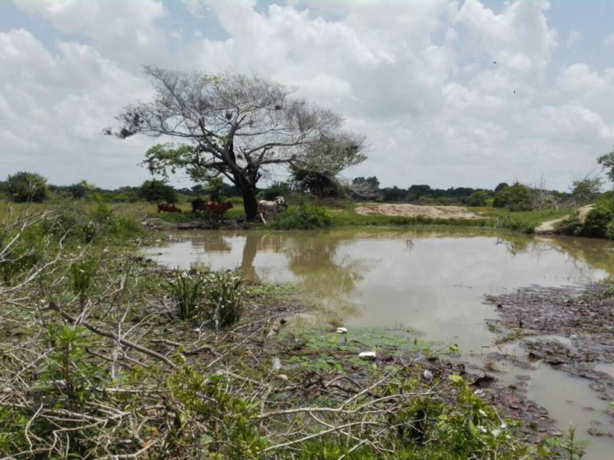 Niño de 8 años murió ahogado en jagüey, en Palmar de Varela
