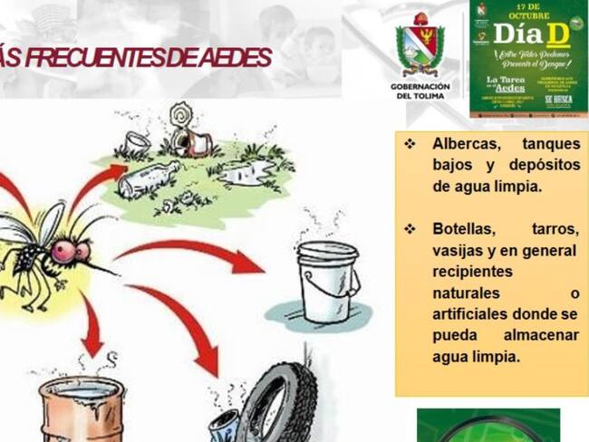 Aumentan las muertes por dengue en el Tolima