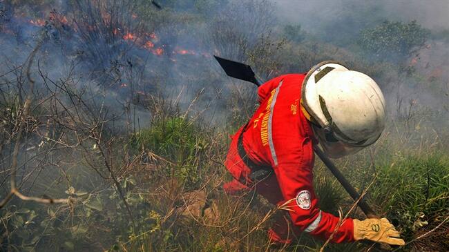 En Santander robaron a los bomberos de Ocamonte mientras apagaban un incendio. Foto: Getty Images