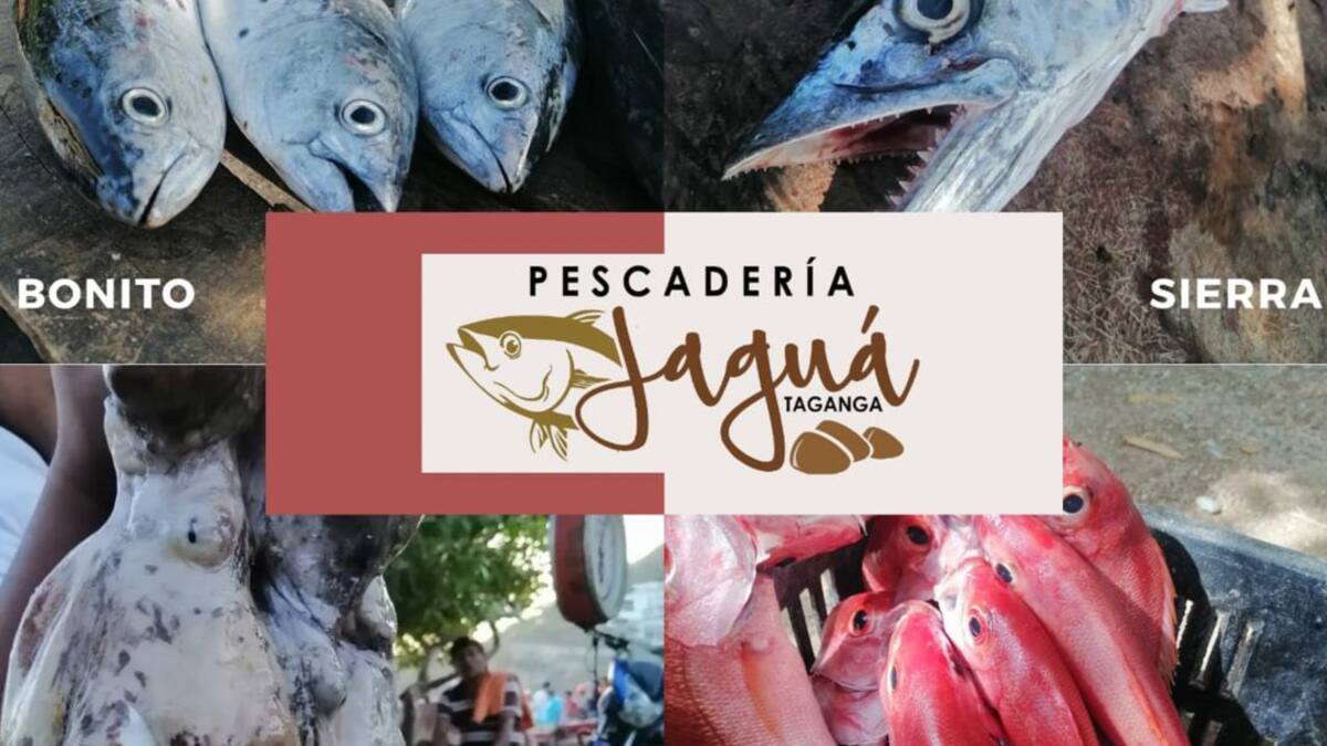 Festival del pescado por internet para reactivar la economía en Taganga