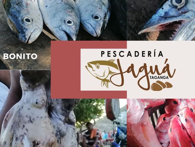 Festival del pescado por internet para reactivar la economía en Taganga