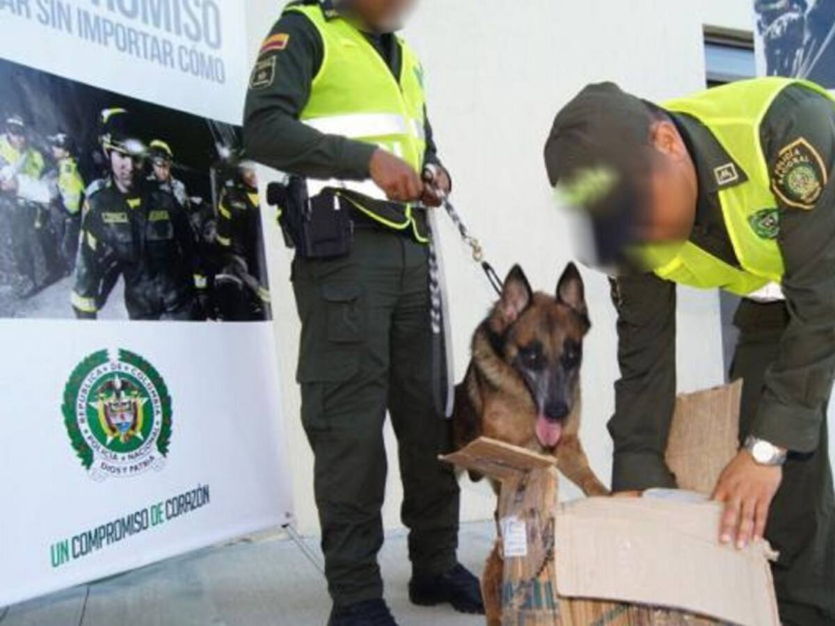En Cartagena policía incautó 5.000 dosis de marihuana