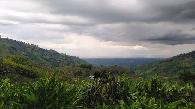 Vía Río Verde - Pijao