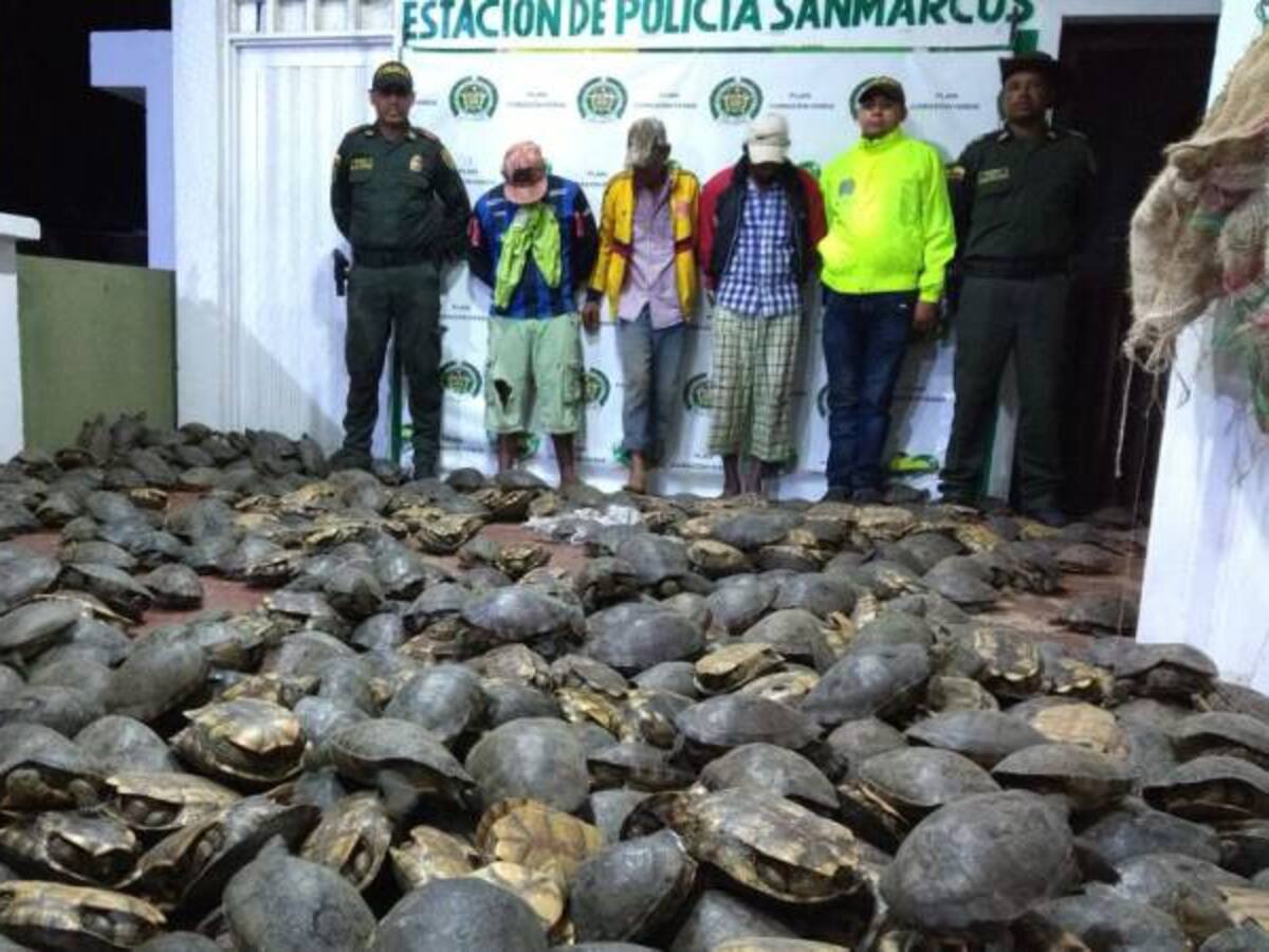 Capturan a tres supuestos traficantes de especies en vía de extinción