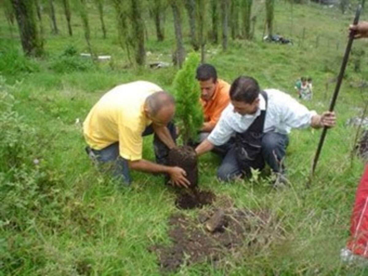 Novedosa recuperación de zonas degradadas en Antioquia