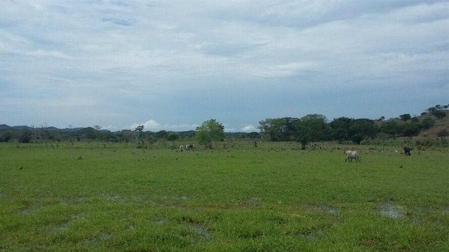 Foto: Imagen de cortesía/ Restitución de Tierras.