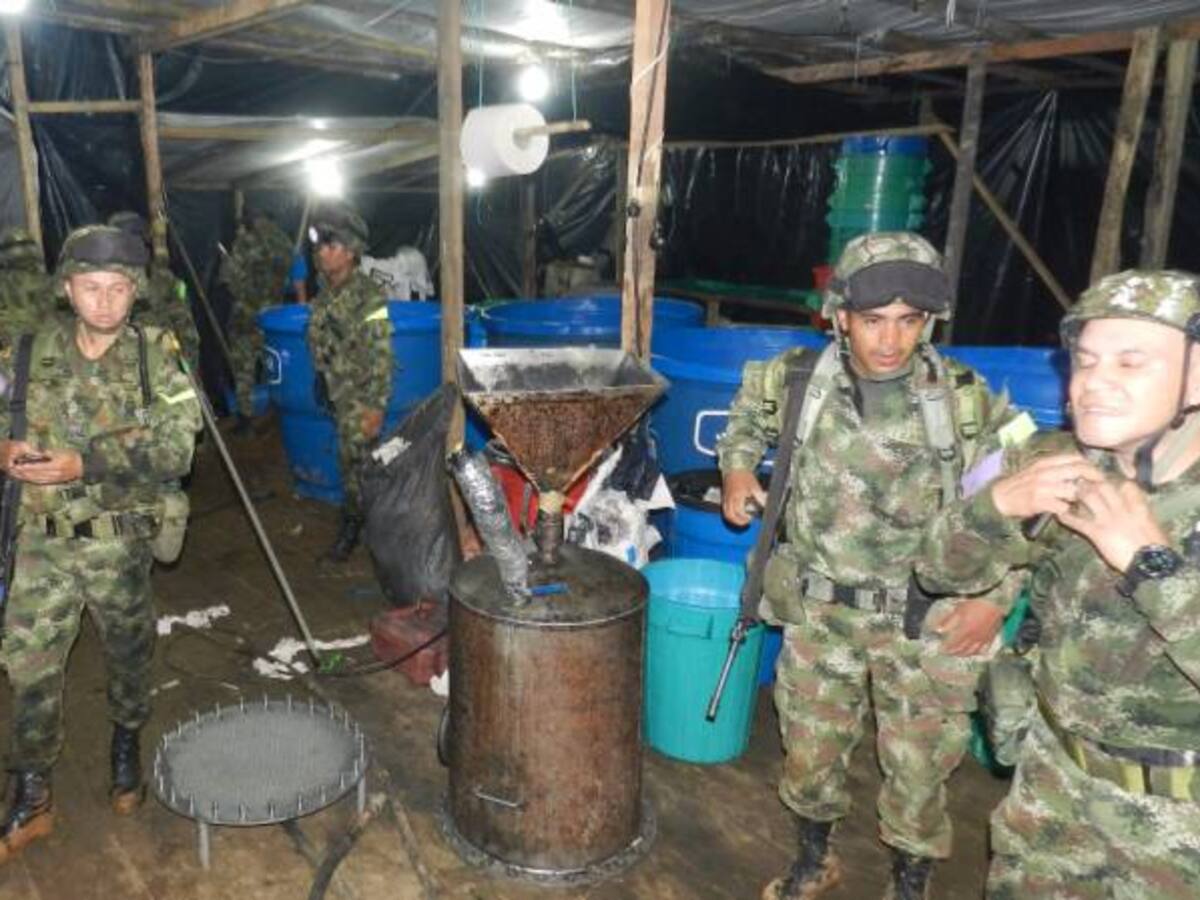Ejército destruye complejo cocalero en el municipio de Jamundí