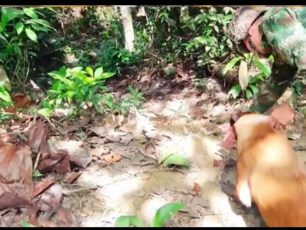 El Ejército destruyó minas antipersonal en zonas rurales del Nordeste antioqueño