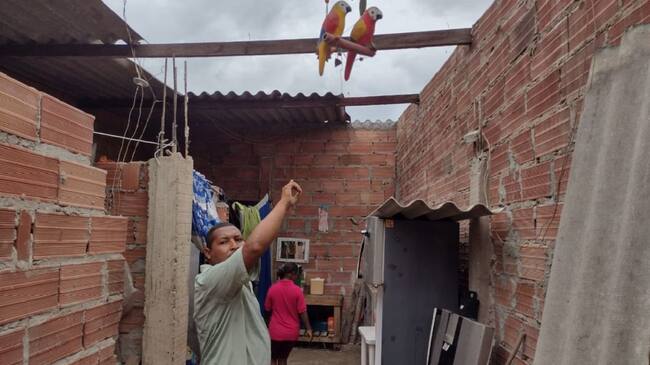 Los hechos se presentaron en el sector Nuevo Horizonte