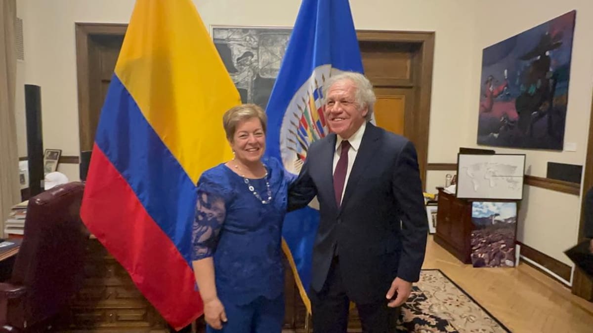 MinTrabajo socializó reformas pensional y laboral con la OEA y la CIDH