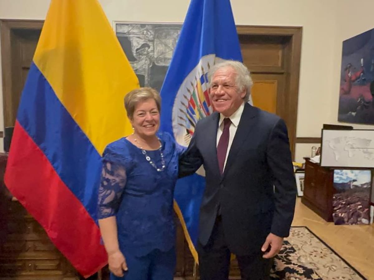 MinTrabajo socializó reformas pensional y laboral con la OEA y la CIDH