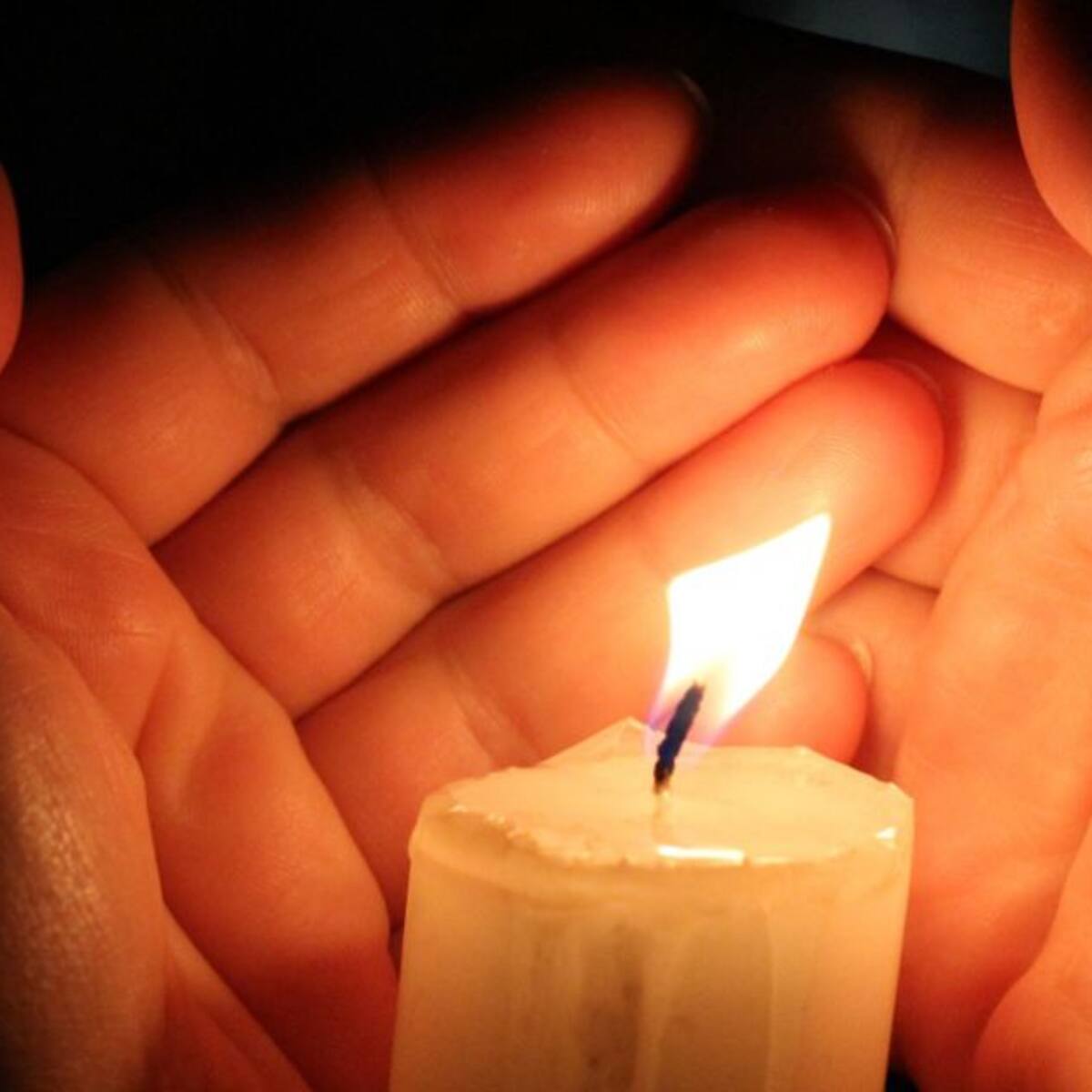 Desmovilizados de Puerto Boyacá se asociaron como ´Constructores de Paz´