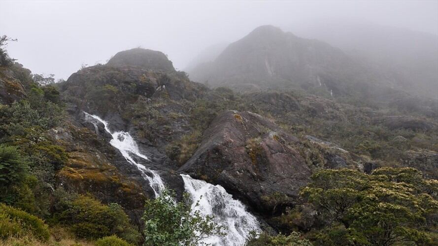 Minesa defendió proyecto Soto Norte ante marcha convocada por Alcaldía de Bucaramanga. Foto: Colprensa