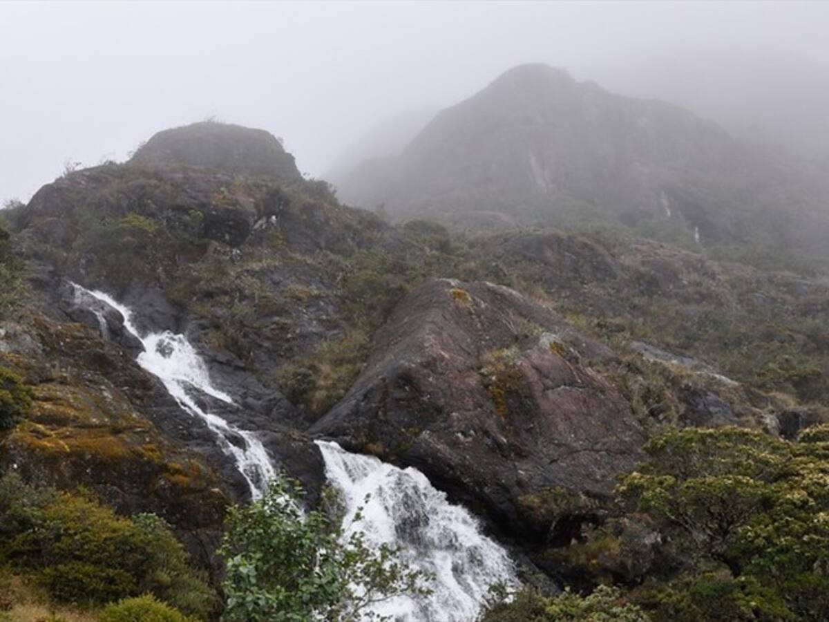 Minesa defendió proyecto Soto Norte ante marcha convocada por Alcaldía de Bucaramanga