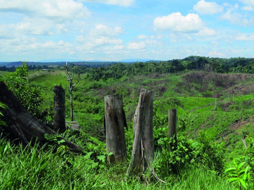 Cortesía Corantioquia