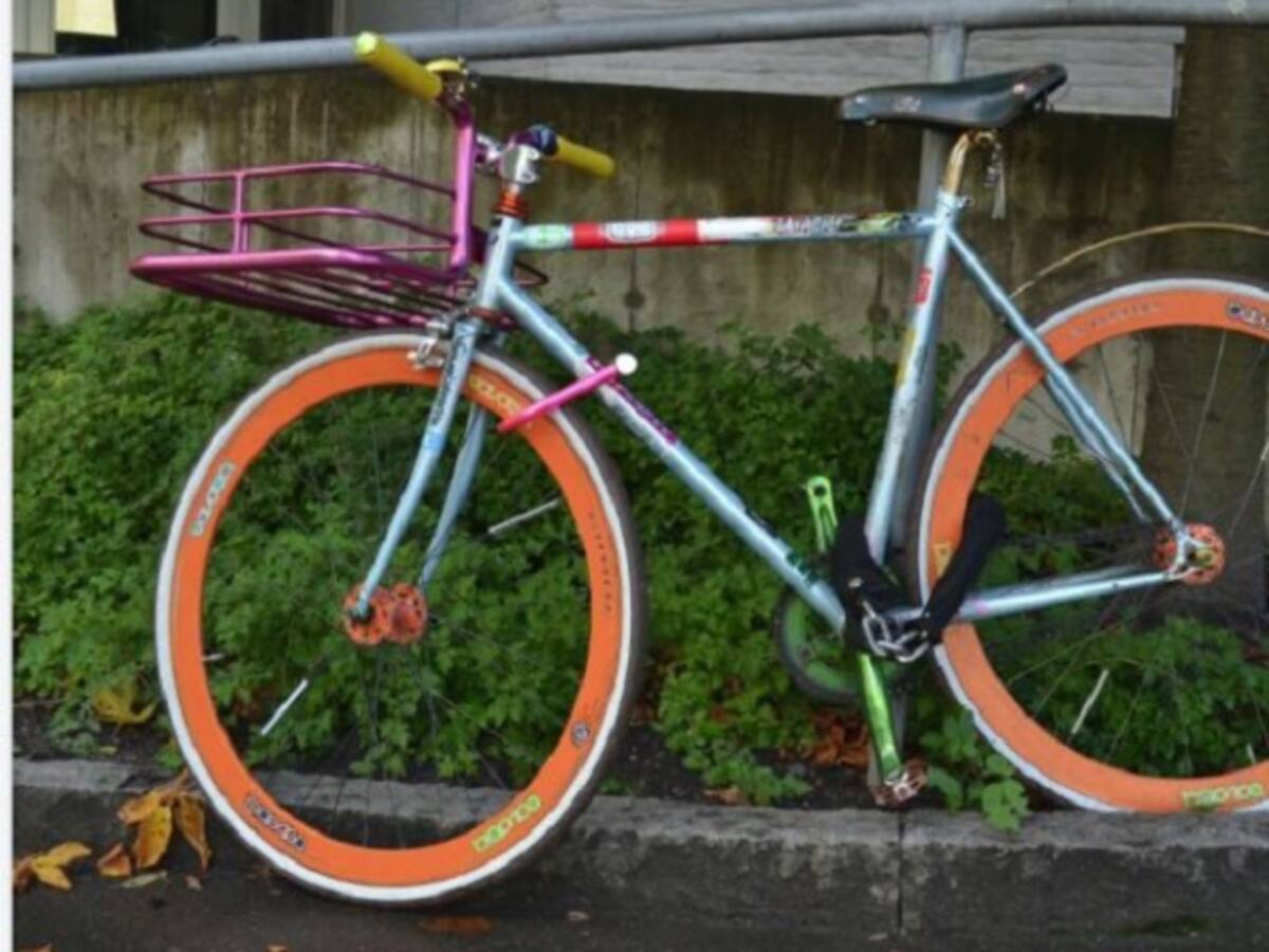 Suizos incorporan la bicicleta en su Constitución Política